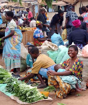 Sth Africe 8 Market