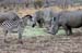 Sth Africa 4 ZebraWhi#D6CA3